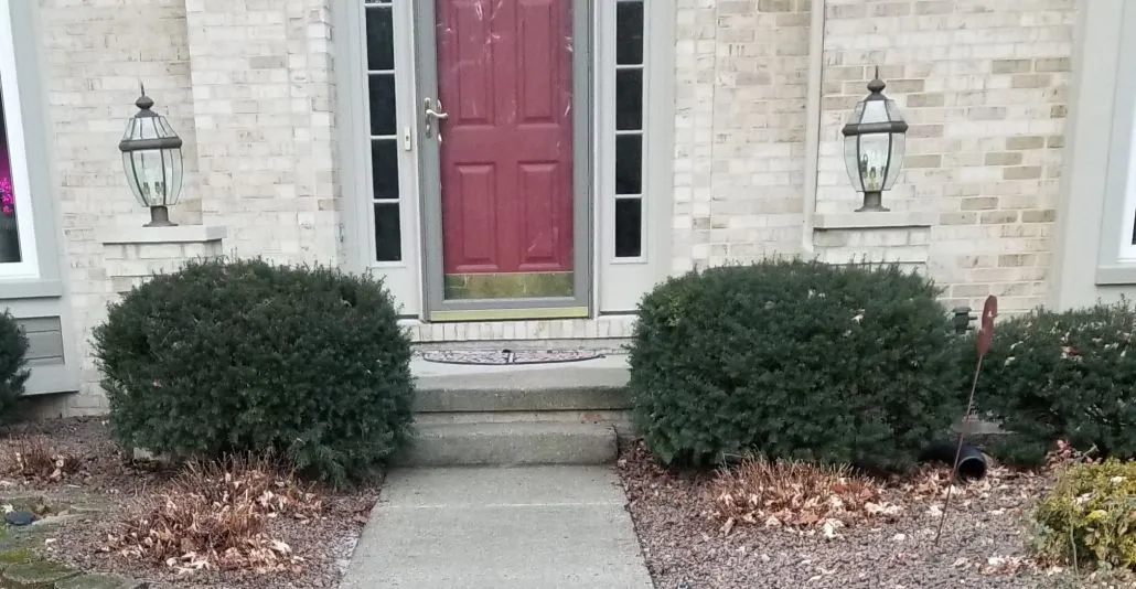 Front entryway of a house with red door and greenery